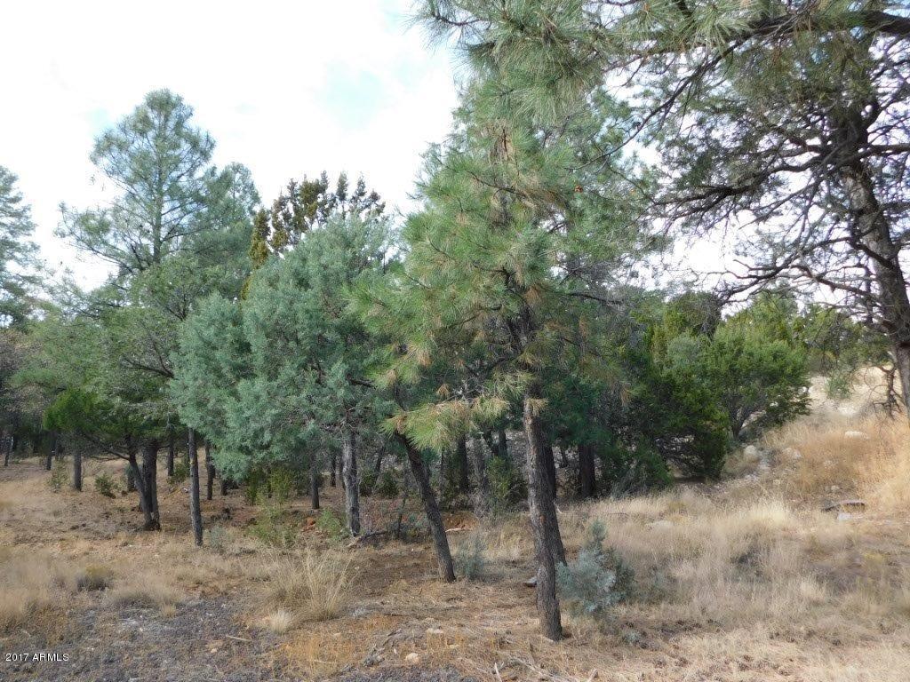 3400 High Country Dr. #32, Heber, AZ 85928