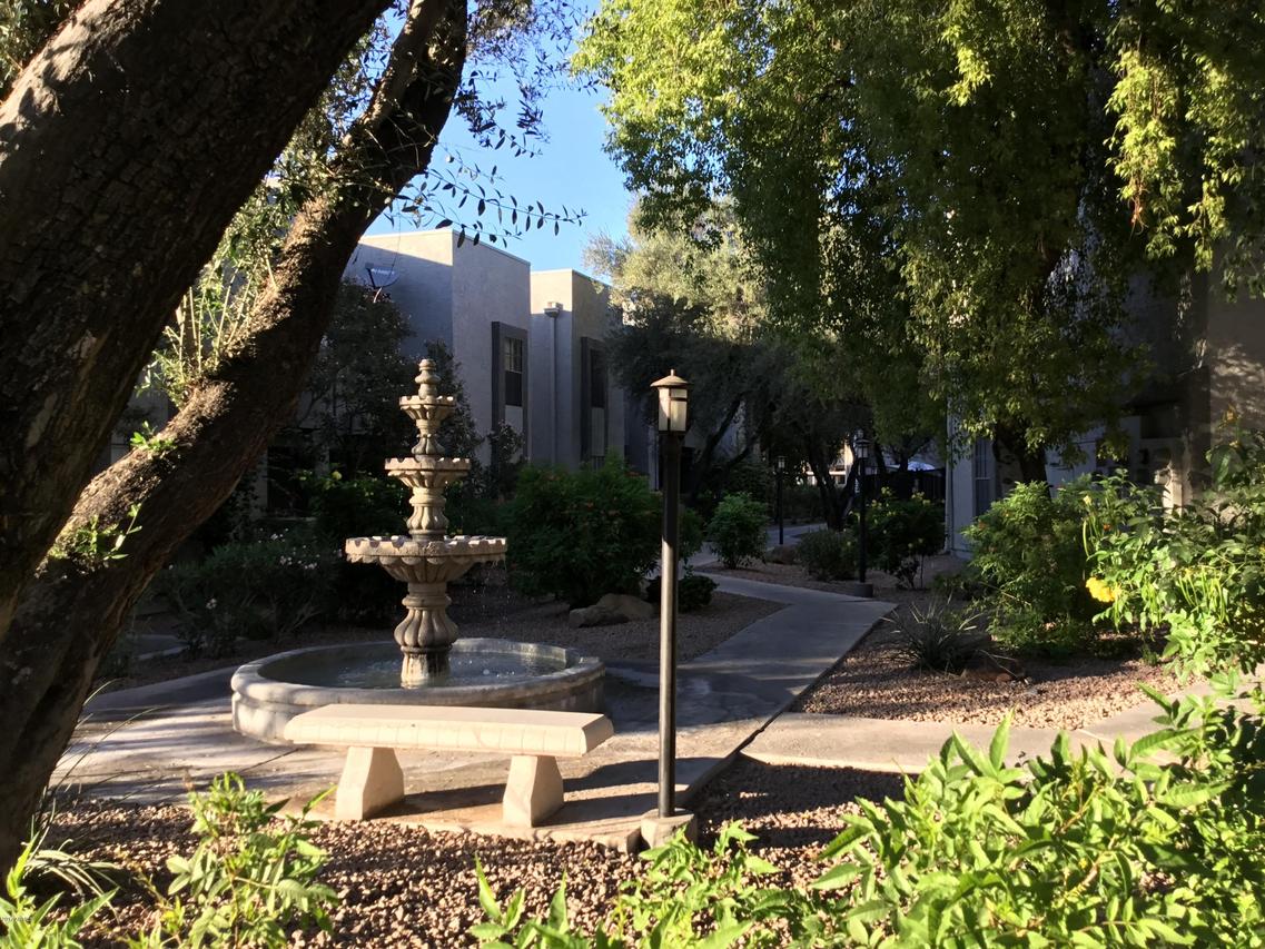8020 E Thomas Rd. #204, Scottsdale, AZ 85251