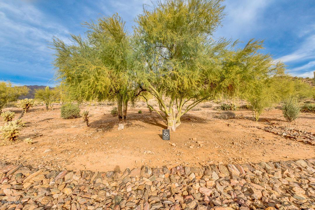 5179 S Desierto Luna Way #36, Gold Canyon, AZ 85118