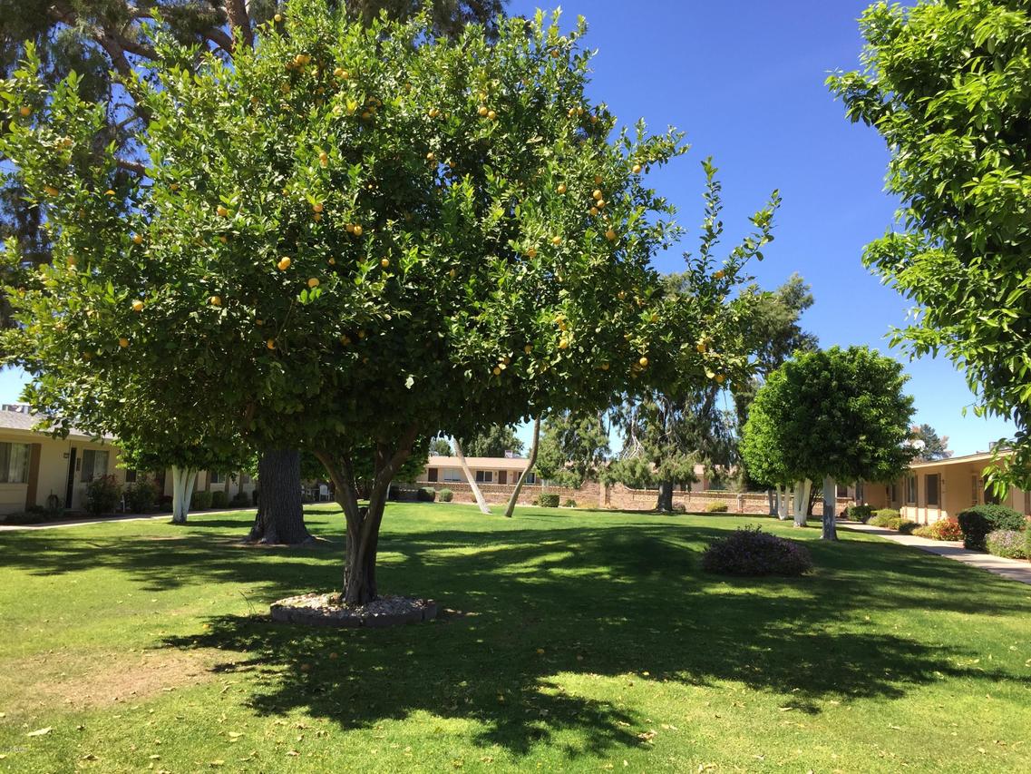 13255 N 110th Ave., Sun City, AZ 85351