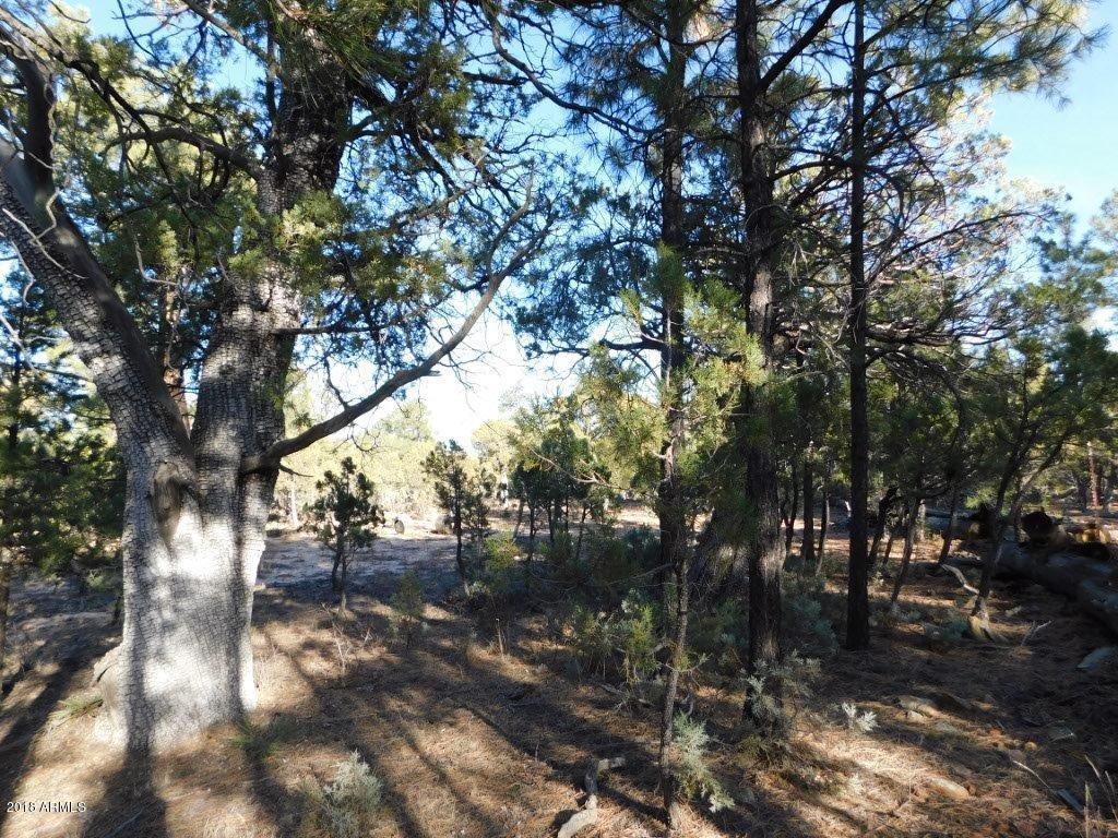 2800 Lejo Road #-, Overgaard, AZ 85933