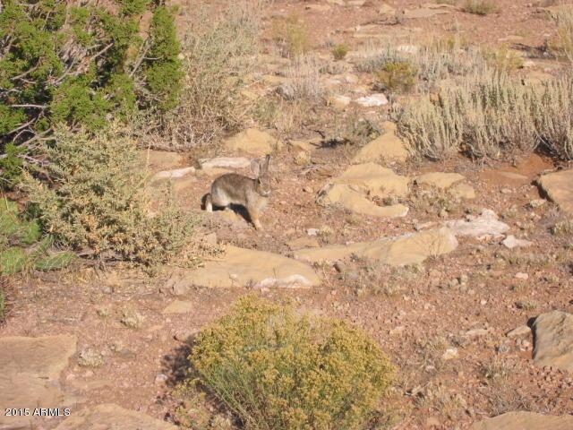 Lot 677 Ccr Unit 4 #677, Heber, AZ 85928