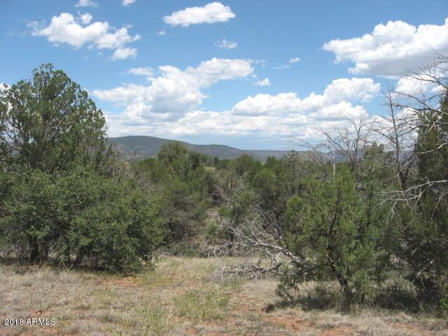155 W Mail Trail Rd. #A-2, Young, AZ 85554