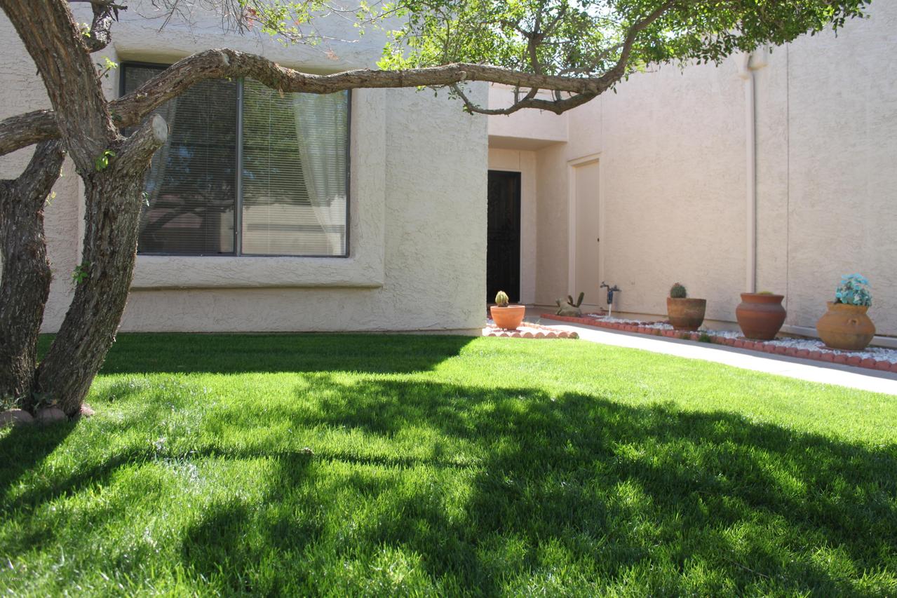 748 S Privet Way, Mesa, AZ 85208