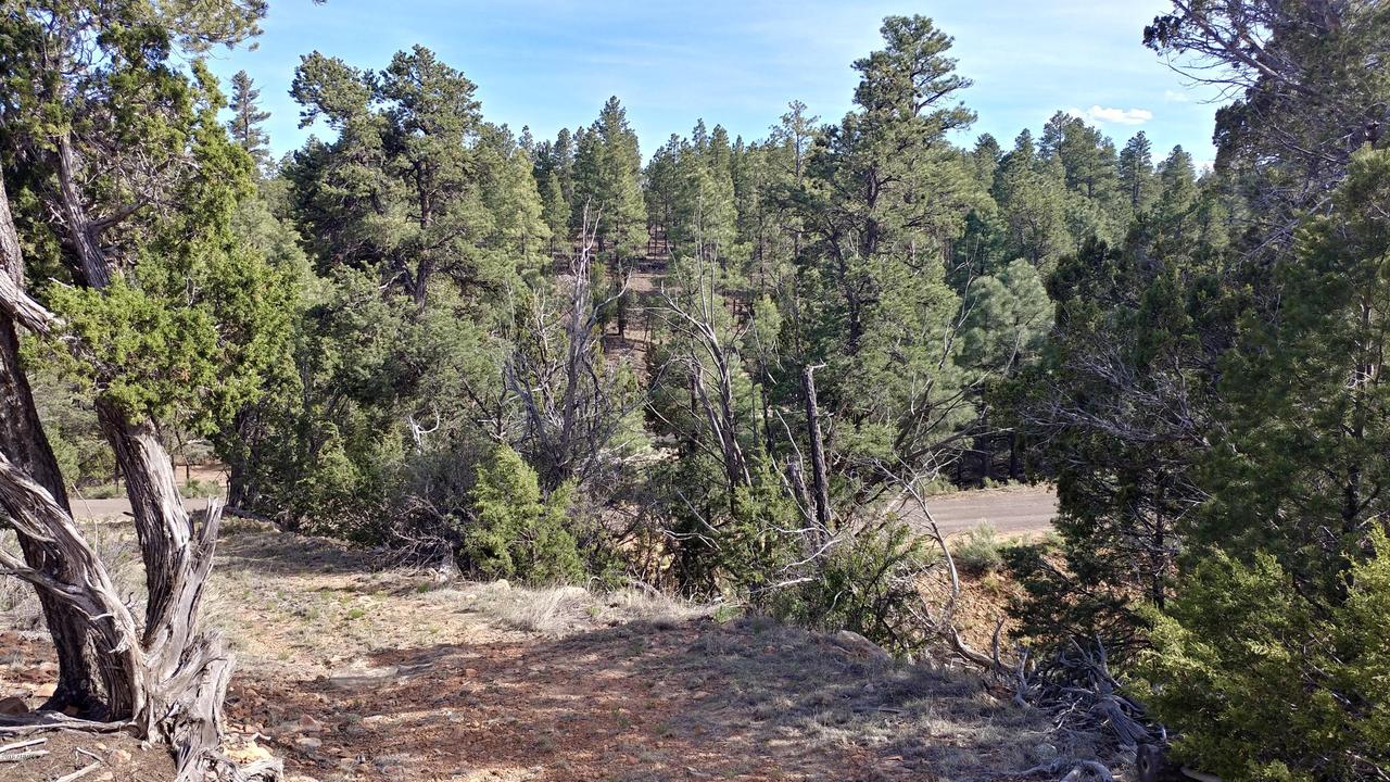 1784 Canyon Dr. #-, Heber, AZ 85928