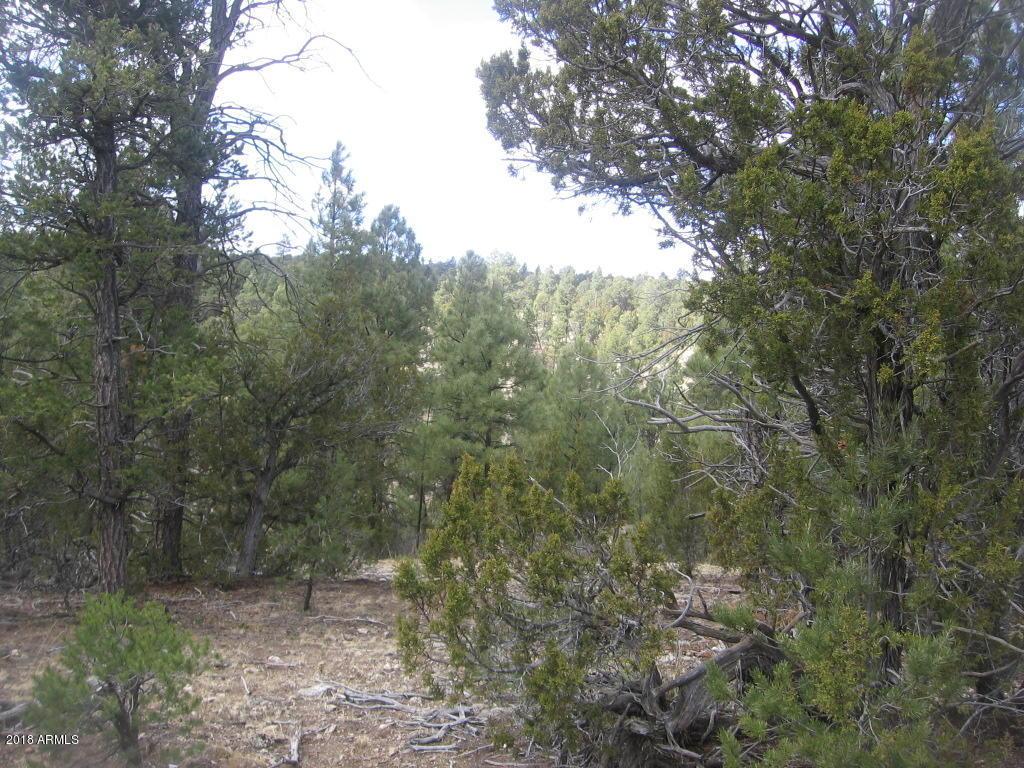 Corner of Hill Rd And Hilltop Rd #64, Heber, AZ 85928