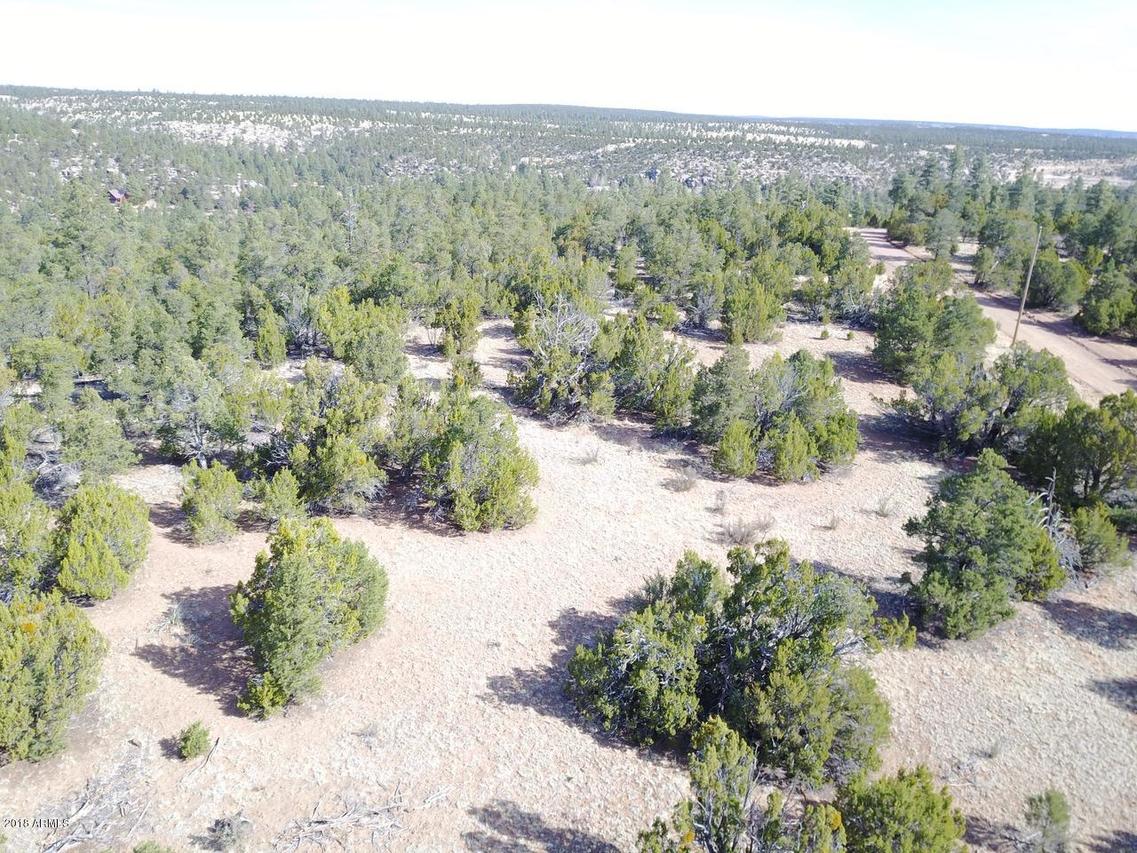 3354 Bear Heights #-, Heber, AZ 85928