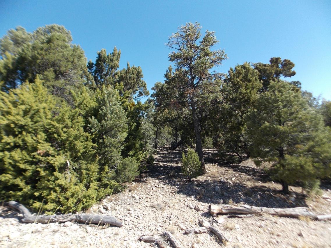 3457 Carefree Rd. #124, Heber, AZ 85928