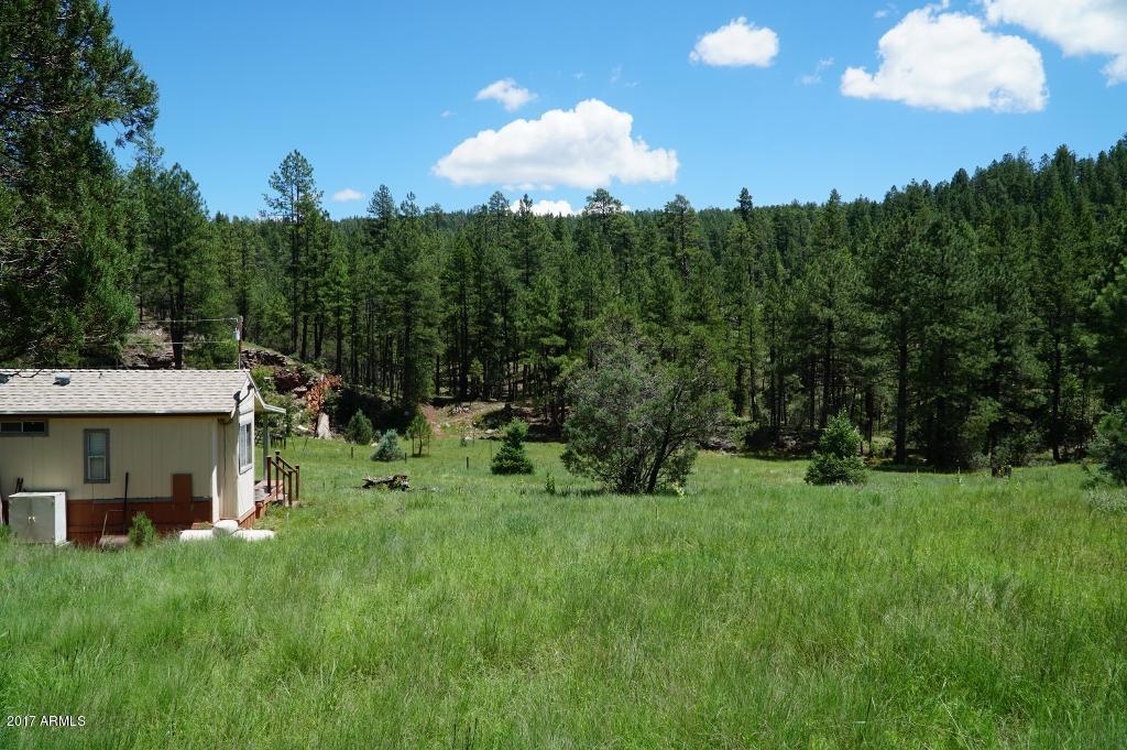184 S A And P Ln., Christopher Creek, AZ 85541