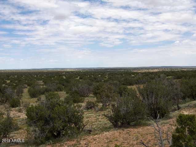 Sec 31 T15n,r16e:nw4,ne4 - Cr #-, Heber, AZ 85928