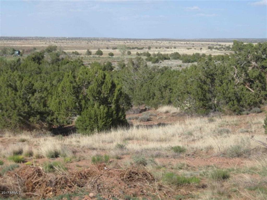 TBD E Center St. #-, Snowflake, AZ 85937