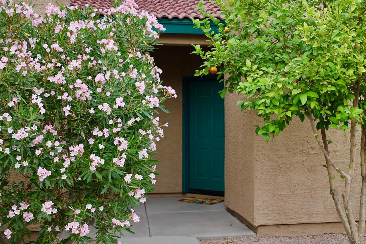 225 W 1st St. #126, Mesa, AZ 85201
