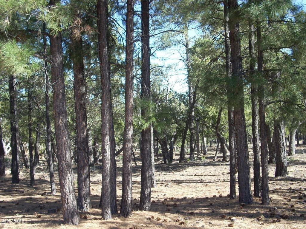 3417 Ponderosa Pkwy. #129, Heber, AZ 85928
