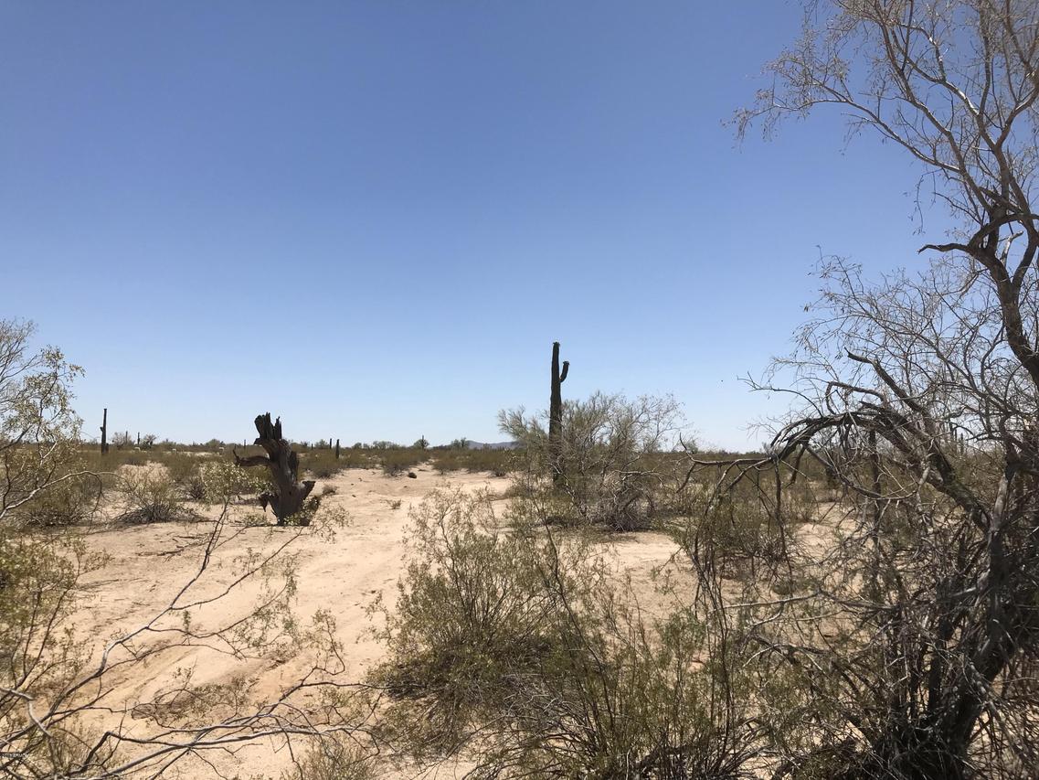 207XX E Dirt Rd. #-, Florence, AZ 85132