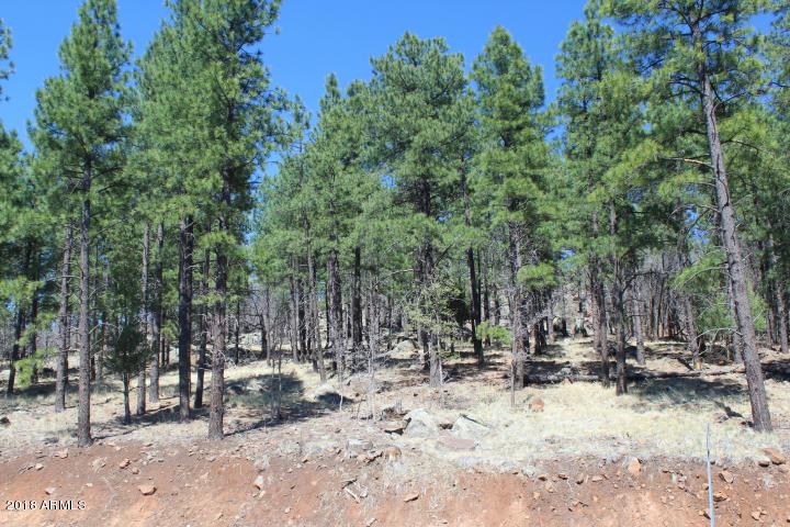 1183 N Worthington Pl. #71, Flagstaff, AZ 86001