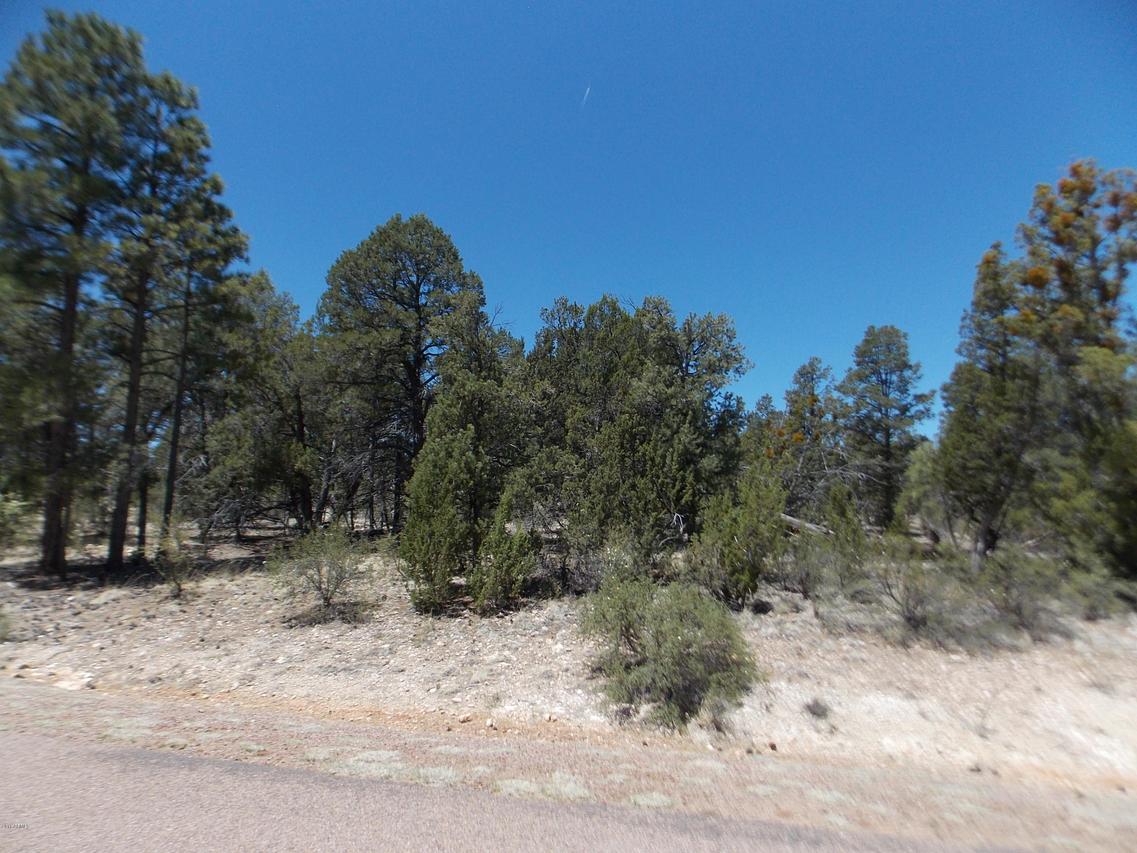 3326 Sawmill Ridge Loop #117, Heber, AZ 85928