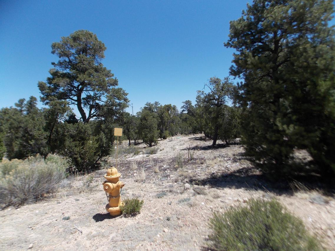 3367 Whisper Ln. #51, Heber, AZ 85928