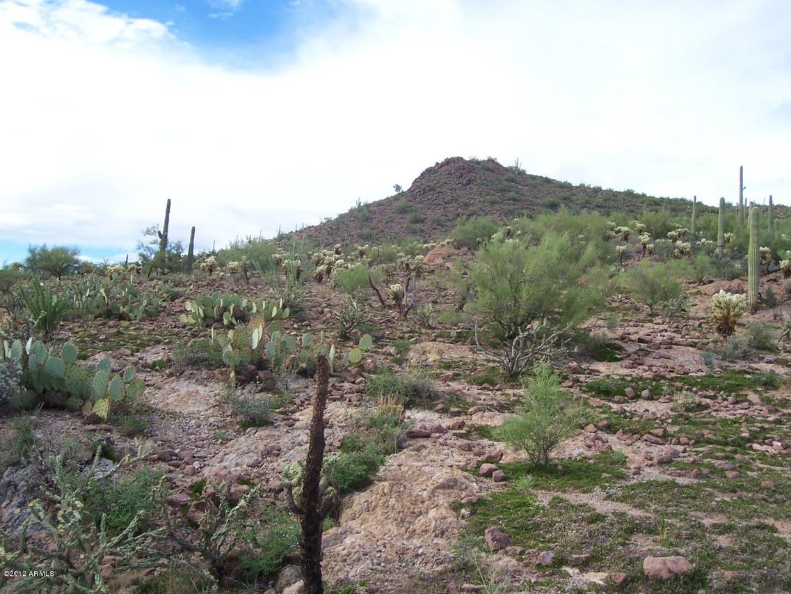 N Elephant Butte Rd. #2A, Queen Valley, AZ 85218