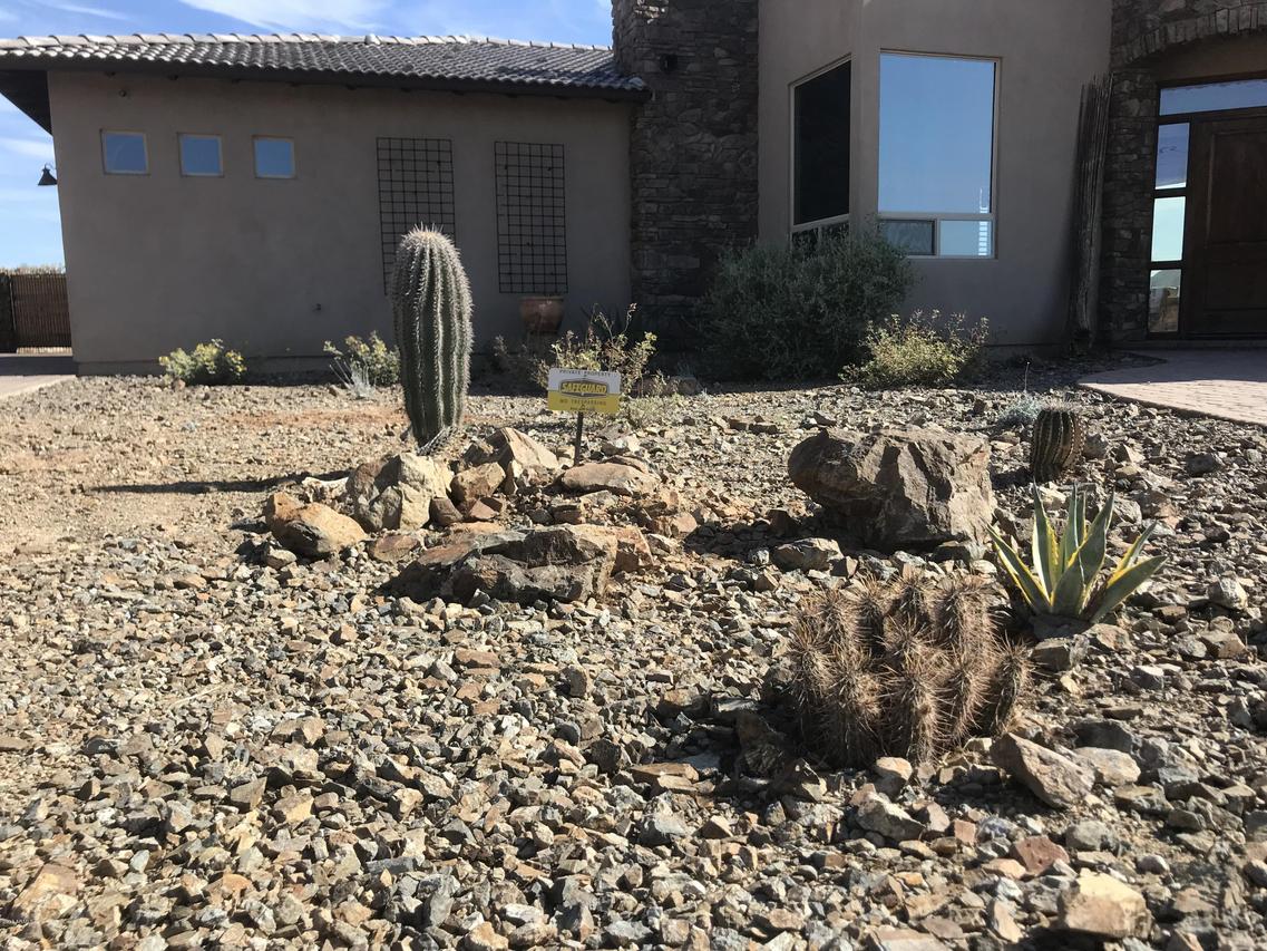 1332 E Dove Valley Rd., Phoenix, AZ 85085