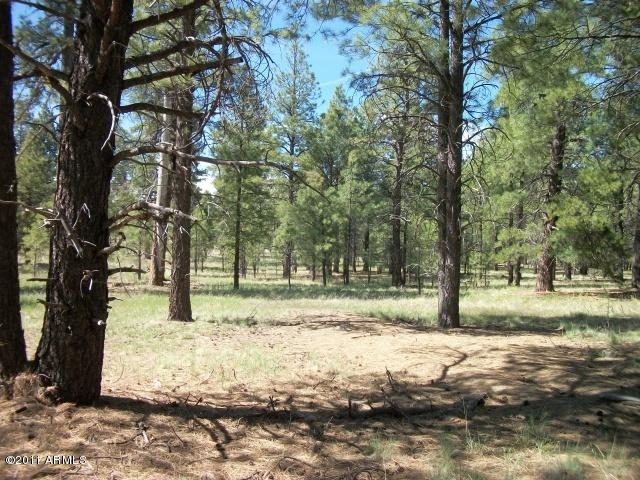 Pcl3T Coconino Forest Rd 867 #3T, Flagstaff, AZ 86001