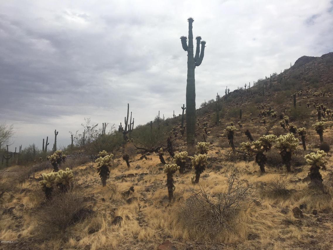 37904 N 34th Ave. #'''-''', Phoenix, AZ 85086