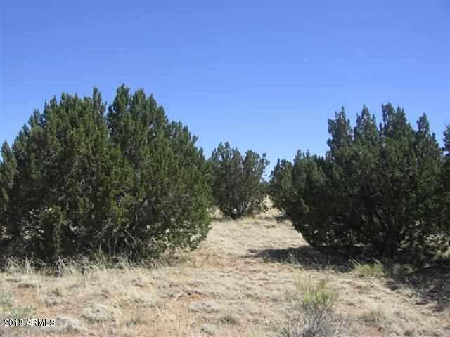 1771 Buffington Hill Rd. #002, Heber, AZ 85928