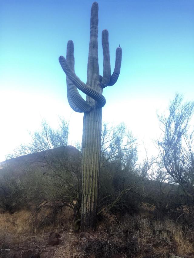 1602 W Rolling Rock Dr. #2Y, New River, AZ 85087