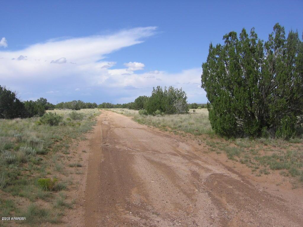 sEC 4 T14n, R16e: Nw4,ne4,sw4 #011B, Heber, AZ 85928