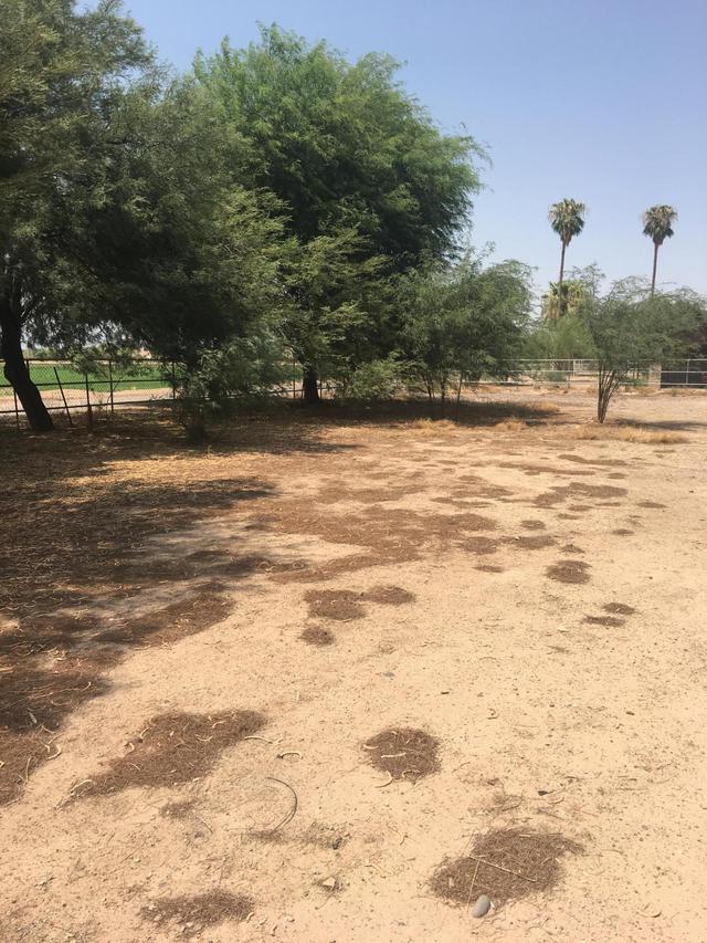 16836 W Pioneer St. #1 MCR 897-05, Goodyear, AZ 85338