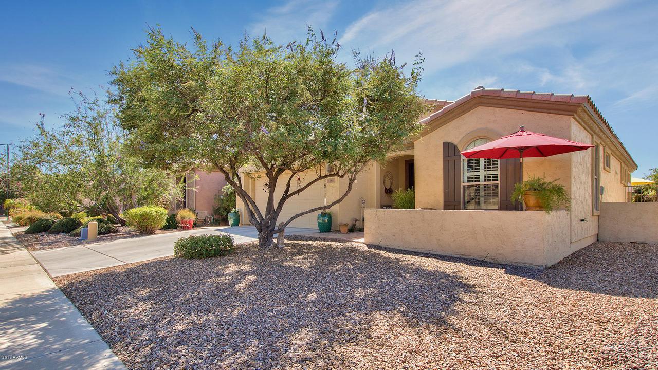 5168 S Marigold Way, Gilbert, AZ 85298