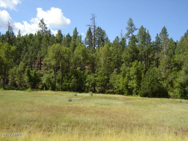 138 S Hunter Creek Dr., Christopher Creek, AZ 85541