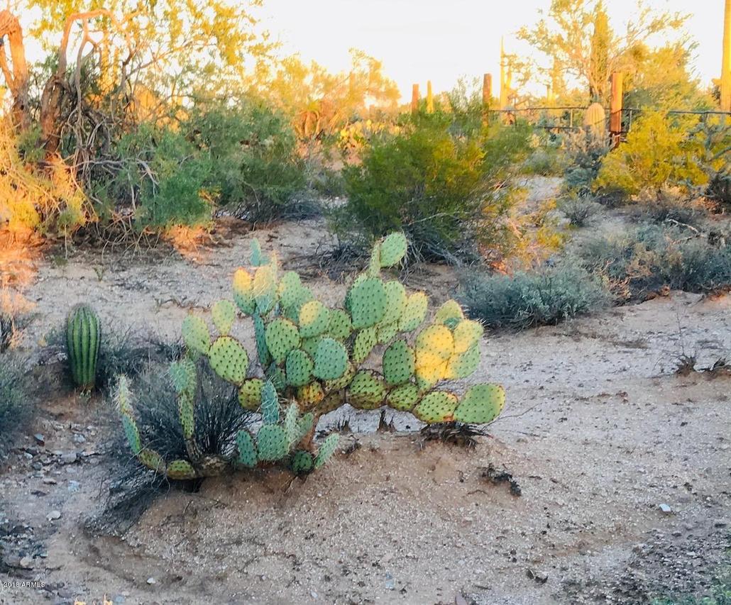 000 E Burro Ln. #4&5, Florence, AZ 85132