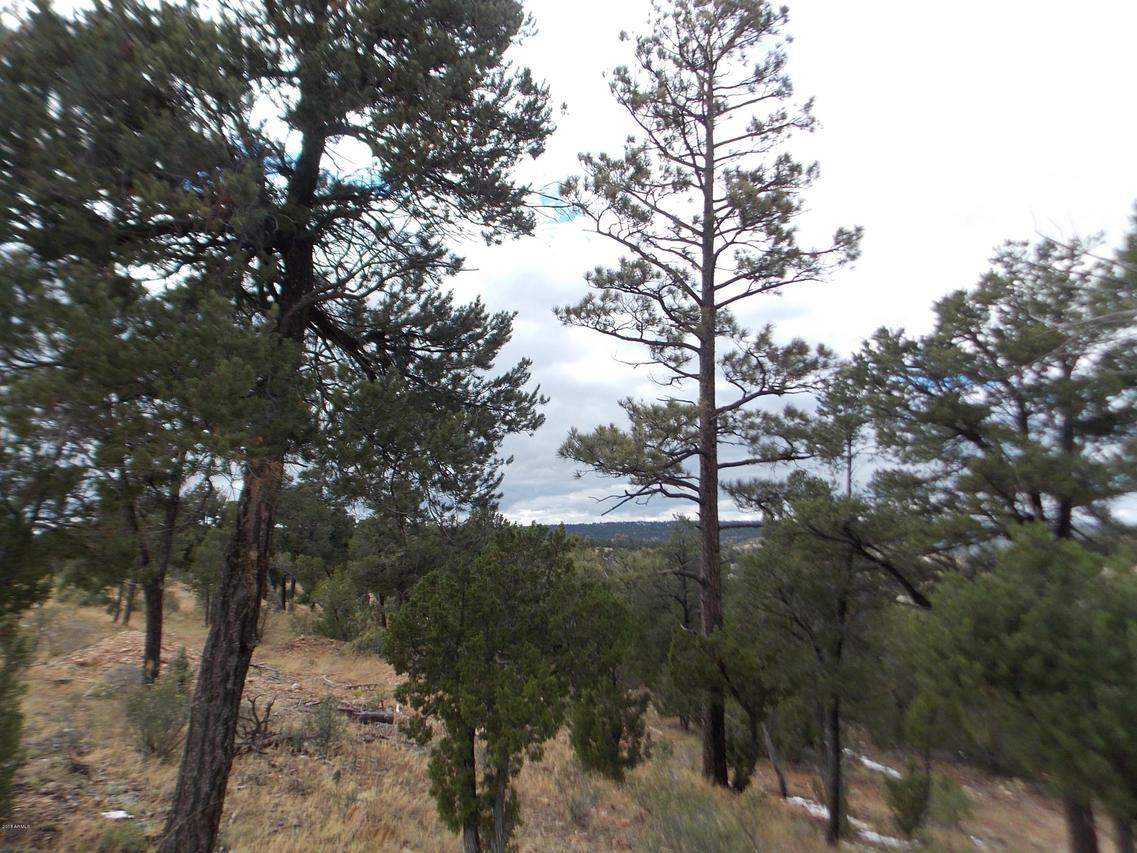 1854 Solomon Cir. #54, Heber, AZ 85928