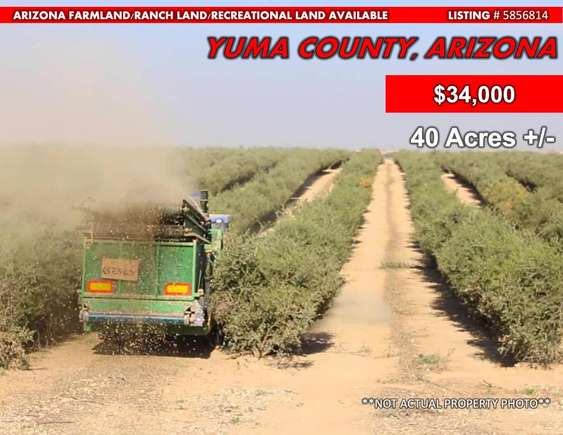 xxx Palomas Rd. #-, Hyder, AZ 85333