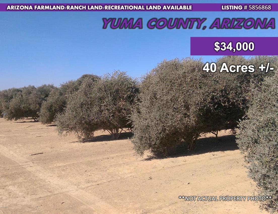 xxx Palomas Rd. #-, Hyder, AZ 85333