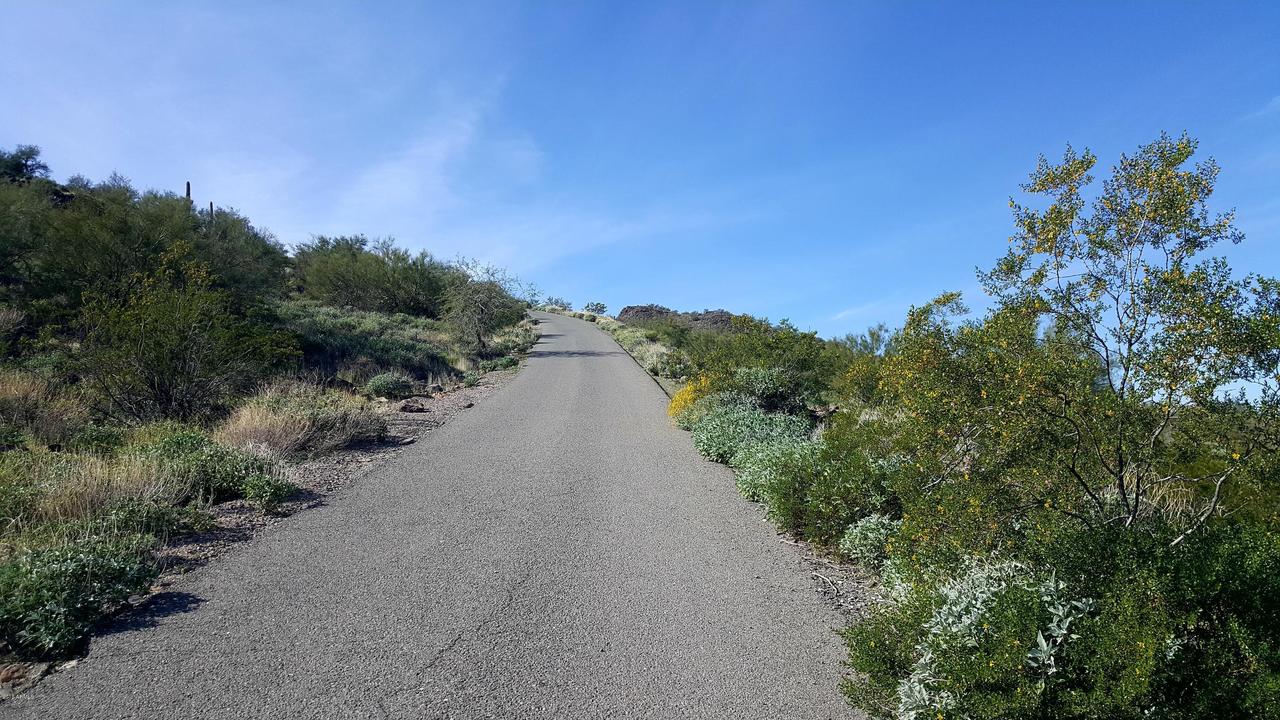 3136 W Blue Eagle Ln. #-, Phoenix, AZ 85086