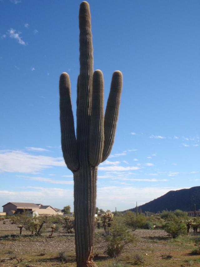 15176 W Roy Rogers Rd. #-, Surprise, AZ 85387