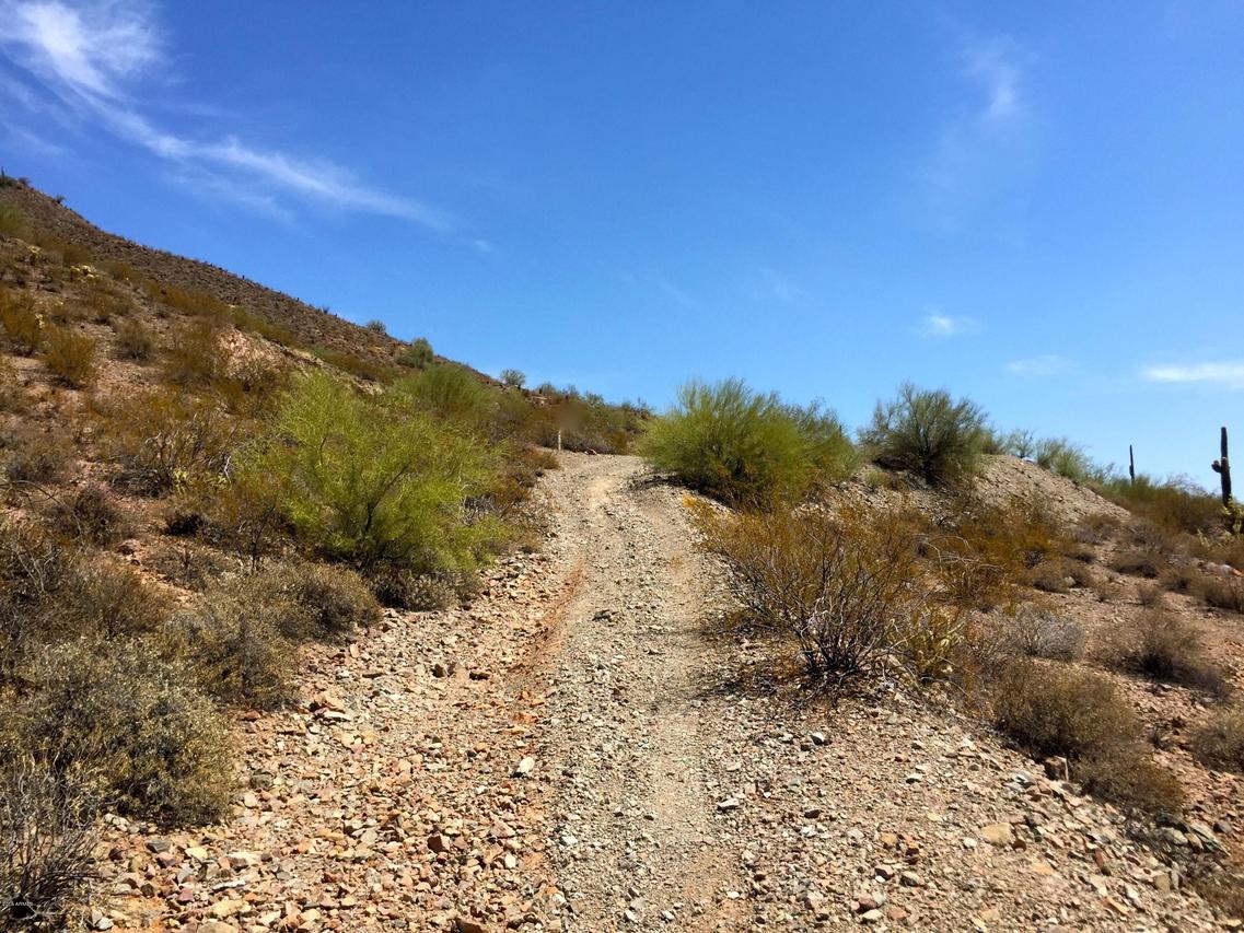 700 E Quartz Rock Rd. #metes and bounds, Phoenix, AZ 85085