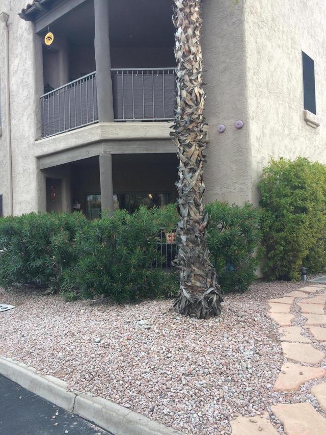 16616 E Gunsight Dr. #116, Fountain Hills, AZ 85268