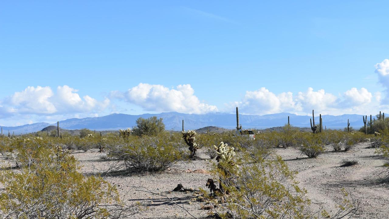 343XX W Highland Rd. #LOT 1, Tonopah, AZ 85354