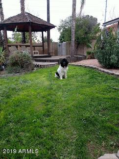 15629 N 59th Dr., Glendale, AZ 85306