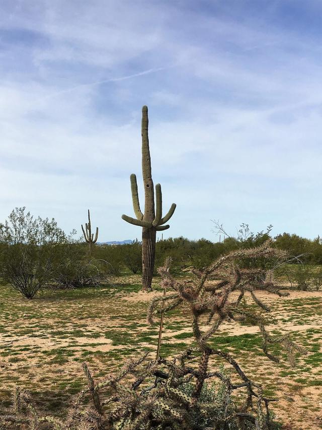 27361 E Dulcinea Ln. #G, Florence, AZ 85132