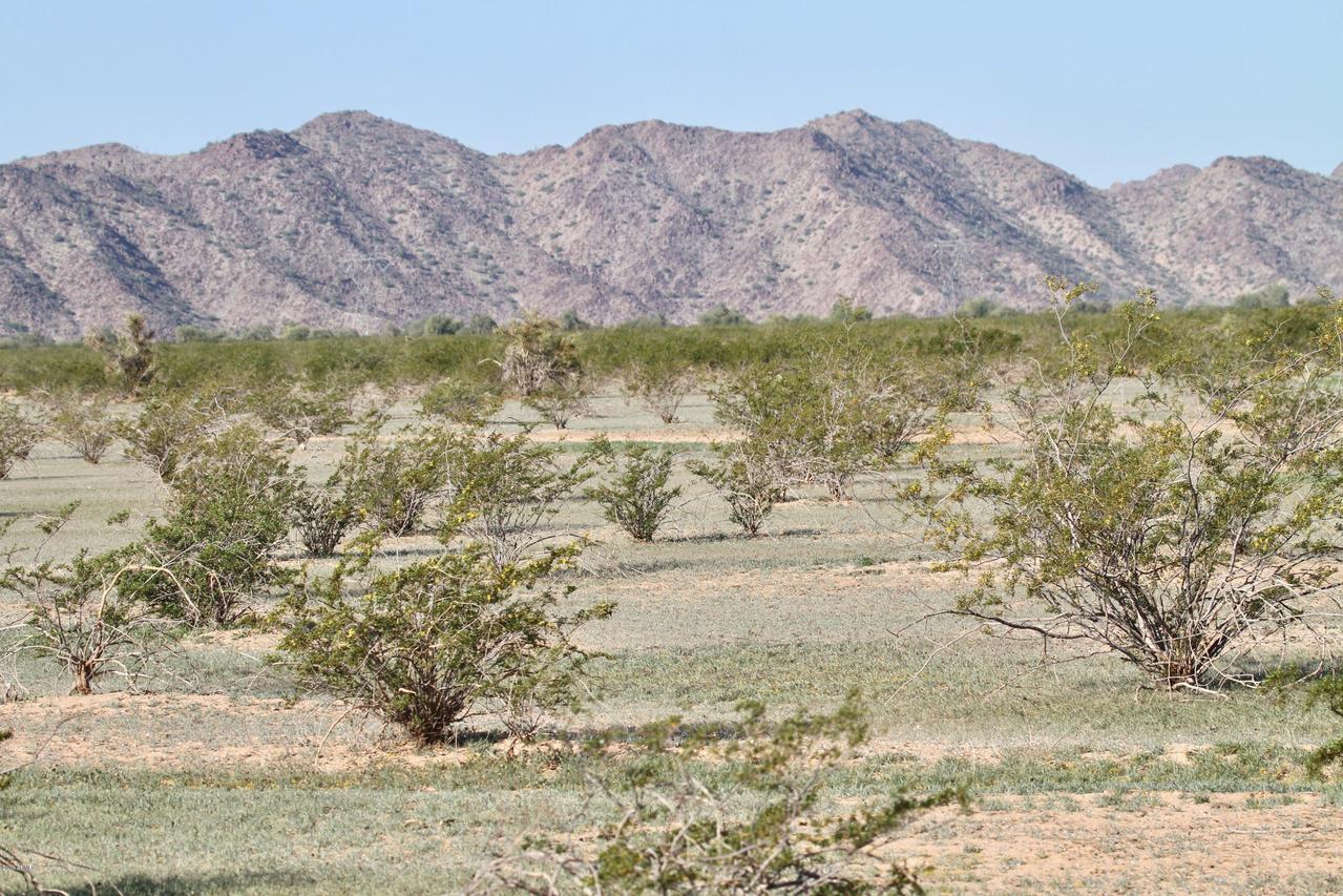XXXX W Gold Lane Lot 15 Ln. #15, Goodyear, AZ 85338