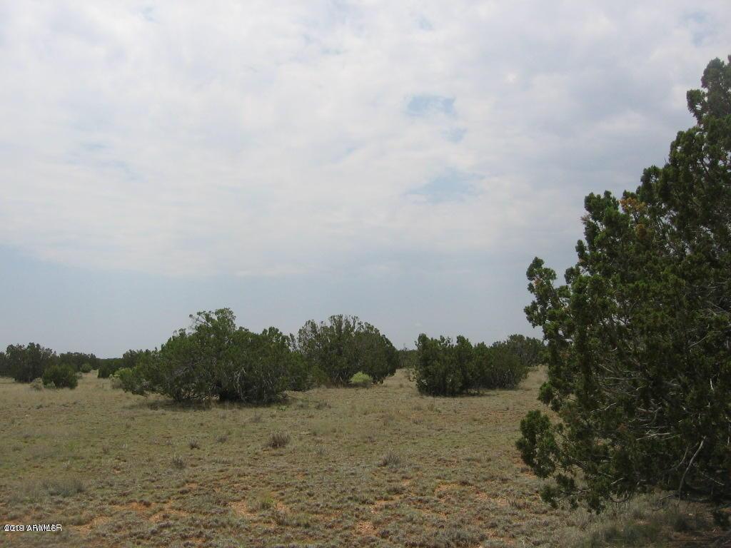 Sec 7 Chevelon Retreat #002G, Heber, AZ 85928