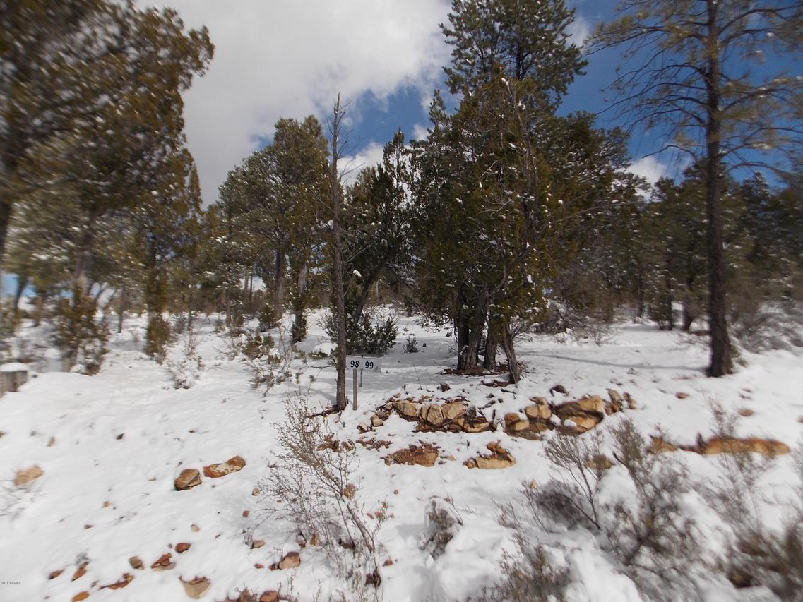 3440 Riata Rd. #60, Heber, AZ 85928