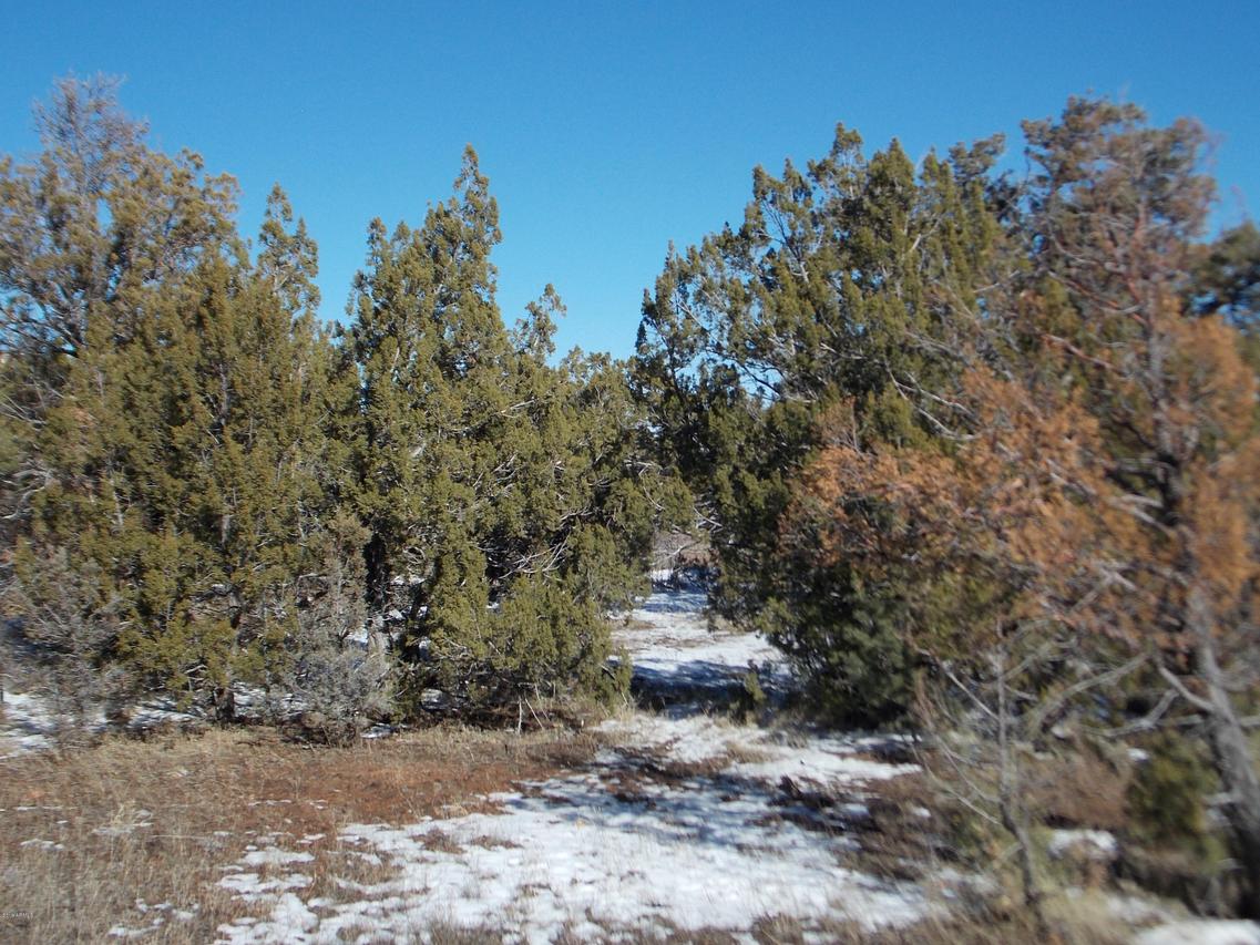 3446 Riata Rd. #59, Heber, AZ 85928