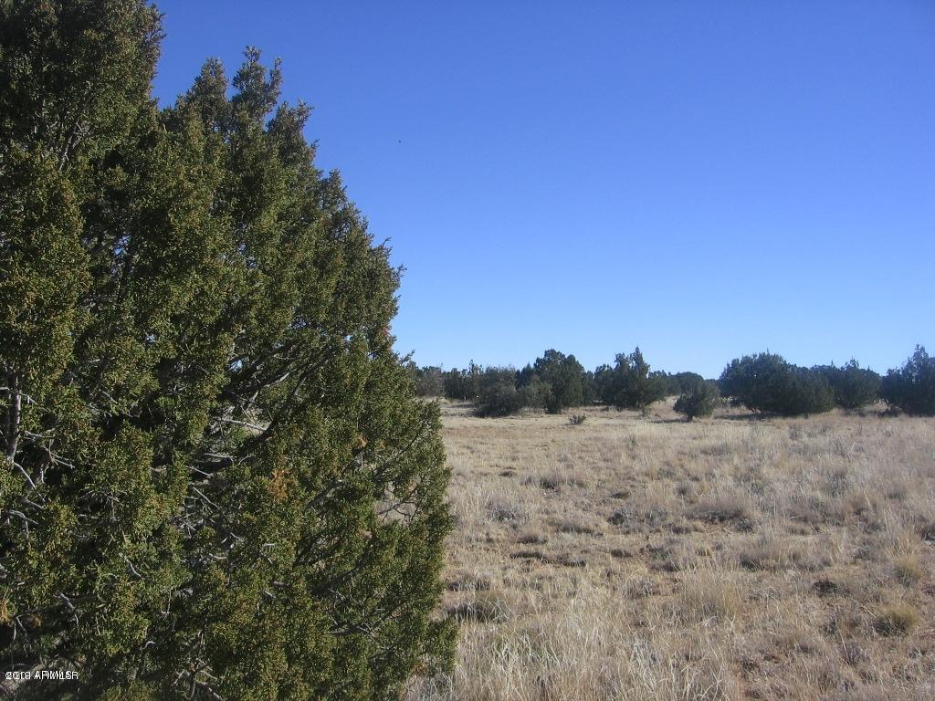 Lot 45 Chevelon Retreat #1 #45, Heber, AZ 85928