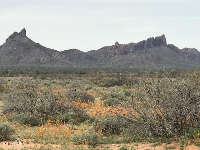 W Aires #90 #90, Eloy, AZ 85131