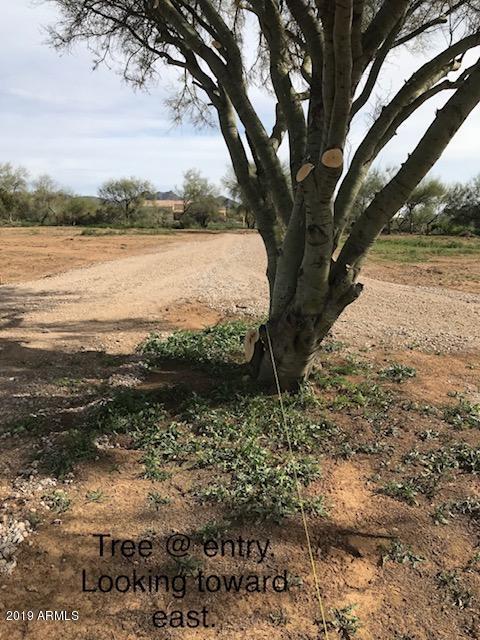 38217 N 7th St., Phoenix, AZ 85086