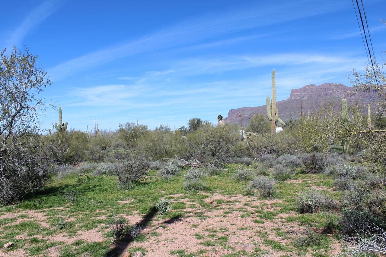 2827 S Prickly Point Dr. #-, Gold Canyon, AZ 85118